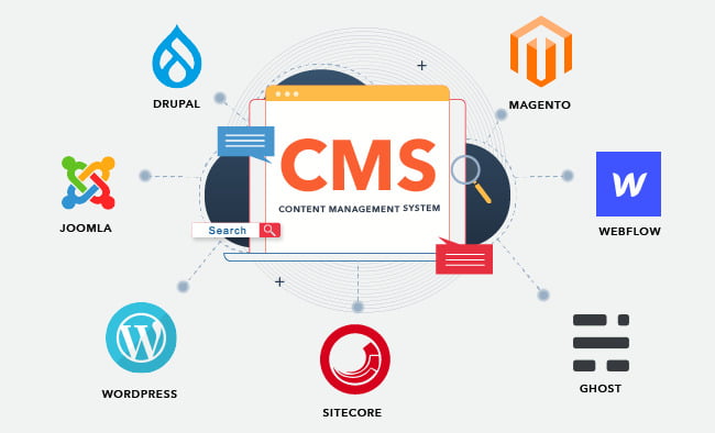 Content Management Systems (CMS)